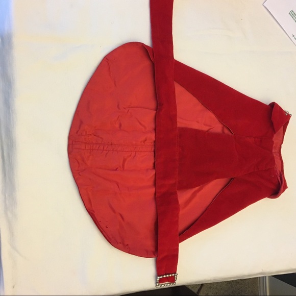 1950’s Vintage Velvet Holiday Dog Coat - Picture 6 of 7